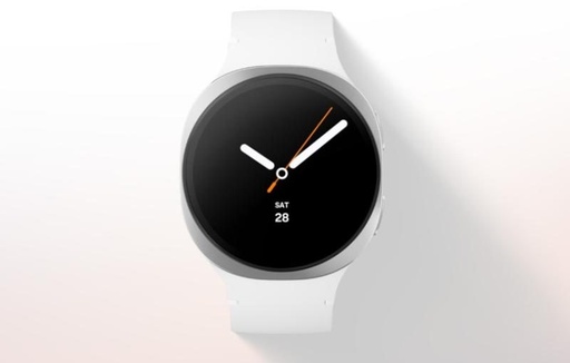 Samsung Galaxy Watch 8 40mm BT (Grafitno siva) - L320