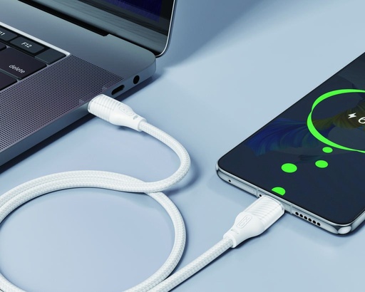 XO NB-Q291B Type-C-Type-C podatkovni kabel (Bijela) - 60W, tkan premaz, proziran kućište