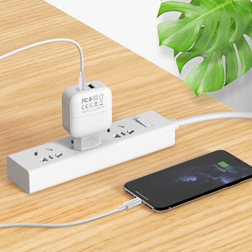 Borofone BA46A mrežni brzi punjač (QC + PD priključak), PD lightning kabel, QC 3.0 max 18W, bijela