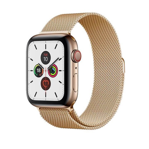 Apple Watch 38 / 40 / 41 mm Hoco WA03 simple beauty milanski remen zlatna
