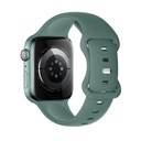 Apple Watch 42mm / Watch 44mm / Watch 45mm / Watch 49mm HOCO WA15 solid szíj fenyőzöld
